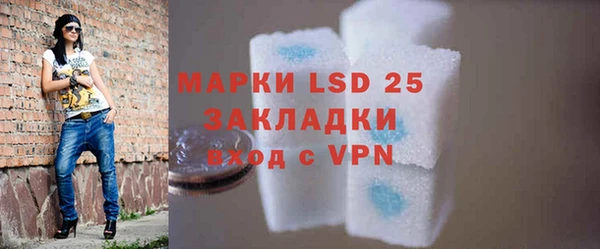 PSILOCYBIN Козловка