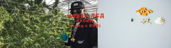 спайс Касимов