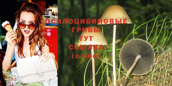 стафф Кинешма