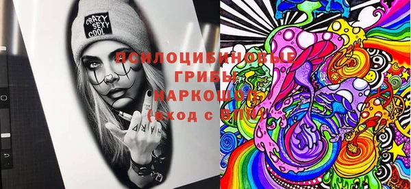 стафф Кинешма