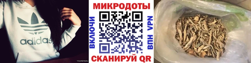 Галлюциногенные грибы Psilocybe  Ревда 