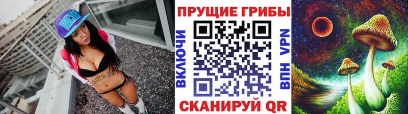 Псилоцибиновые грибы мицелий Ревда