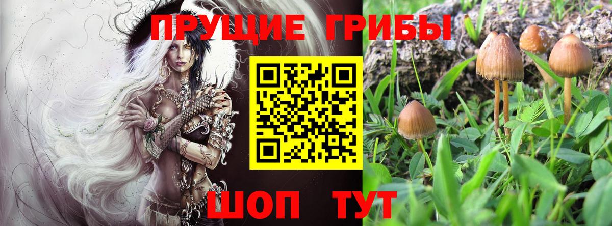 Псилоцибиновые грибы мицелий  Вход с VPN  Ревда  Псилоцибиновые грибы Cubensis 